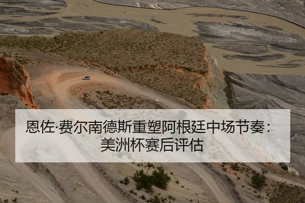 恩佐·费尔南德斯重塑阿根廷中场节奏：美洲杯赛后评估